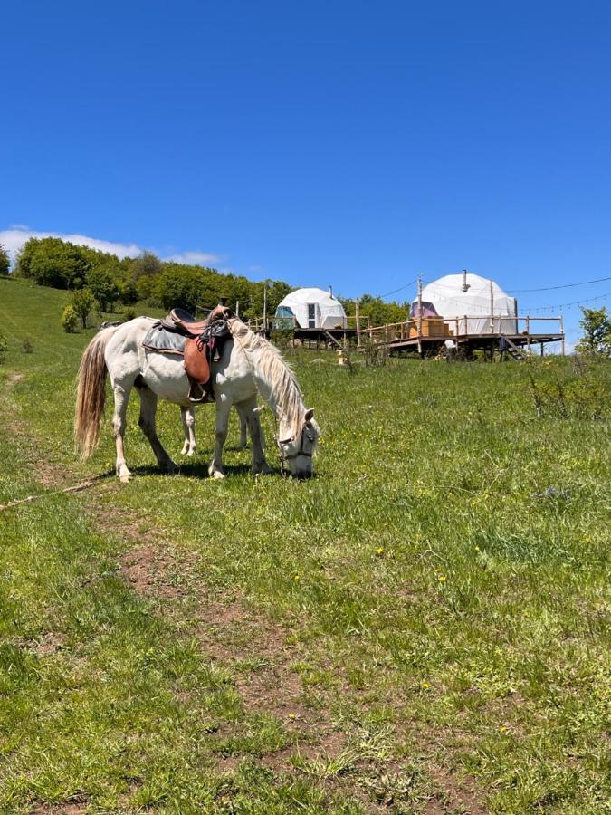 Glamping Park Hotel Shahumyan Luaran gambar